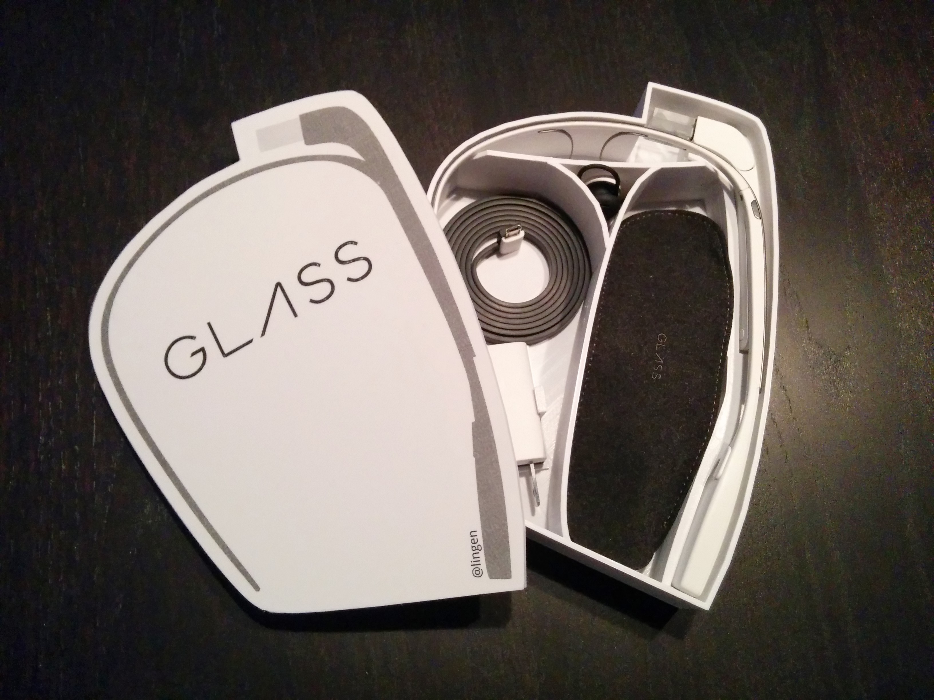 Google Glass Case
