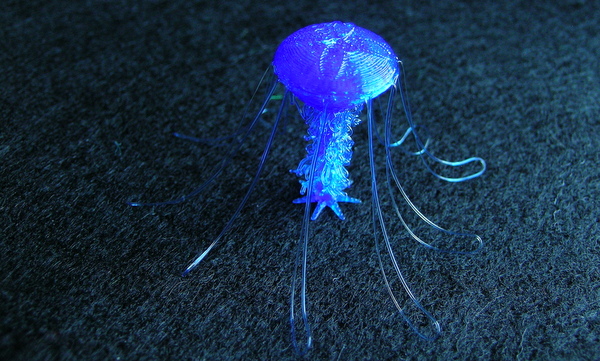Jellyfish drooloops customizable