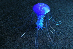 Jellyfish drooloops customizable