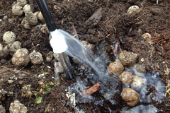 Micro drip irrigation nozzle