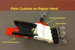 Palm Cushion for Raptor Hand