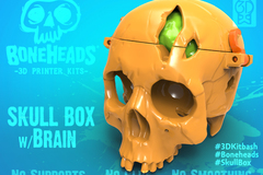 Skull Box w/ Brain by 3DKitbash