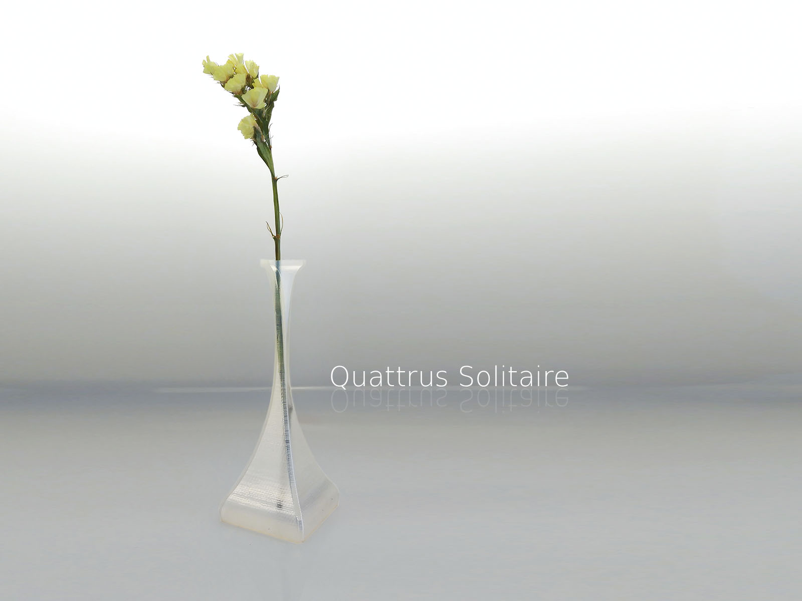 Quattrus Solitaire