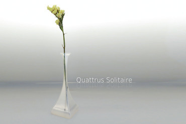 Quattrus Solitaire