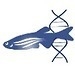 zebrafish's profile picture