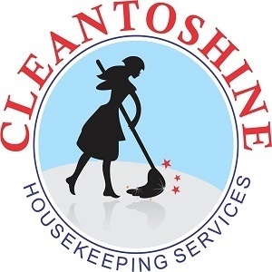 cleantoshine's profile picture