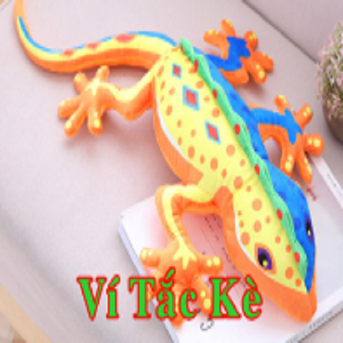 vitackestore's profile picture
