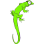 geckolino's profile picture