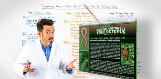 Diagnosing-Why-a-Sites-Set-of-Pages-May-Be-Ranking-Poorly-Whiteboard-Friday
