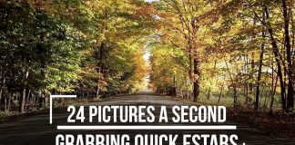 Grabbing-Quick-Estabs-24-Pictures-A-Second