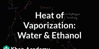 Heat-of-vaporization-of-water-and-ethanol-Biology-Khan-Academy