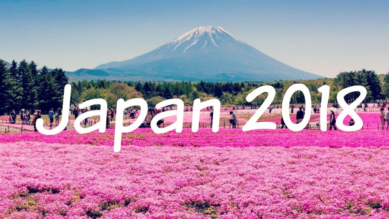 20-things-you-can-only-do-in-japan-japan-things-to-do-thrillist