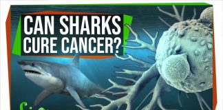 Stop-Saying-Sharks-Will-Cure-Cancer