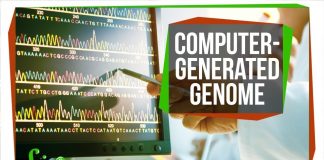 The-First-Computer-Generated-Bacterial-Genome-SciShow-News