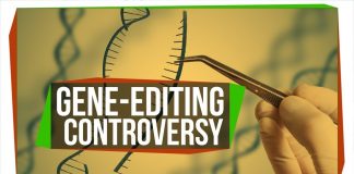 The-First-Gene-Edited-Babies-Are-Here-Like-It-or-Not-SciShow-News