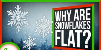 Why-Are-Snowflakes-Flat