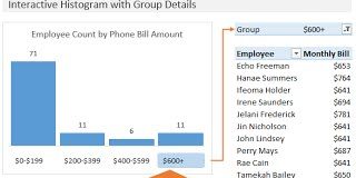 How-to-Create-an-Interactive-Histogram-Chart-that-Displays-the-Group-Details