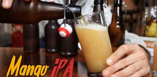 Idiot39s-Guide-to-Making-Incredible-Beer-at-Home