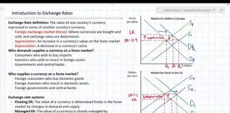Introduction-to-Exchange-Rates-and-Forex-Markets