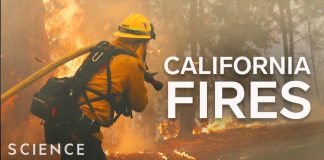 6-Ways-Californians-Can-Control-The-Spread-Of-Wildfires