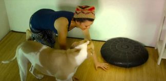 Yoga-Teacher-and-Dog-Obedience-Blooper